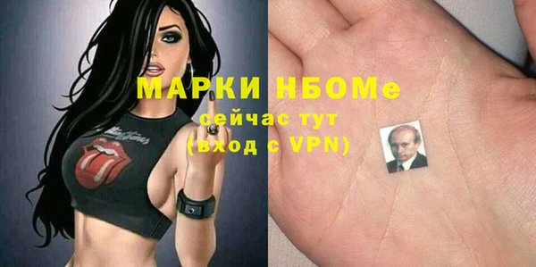 шишки Белокуриха